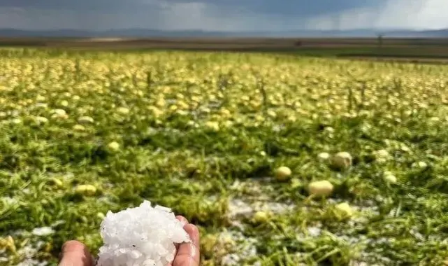Çifteler 'de sağanak ve dolu yağışı etkili oldu