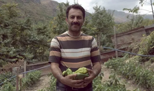 Kemaliye'de kapya biberi yetiştirilmeye başlandı
