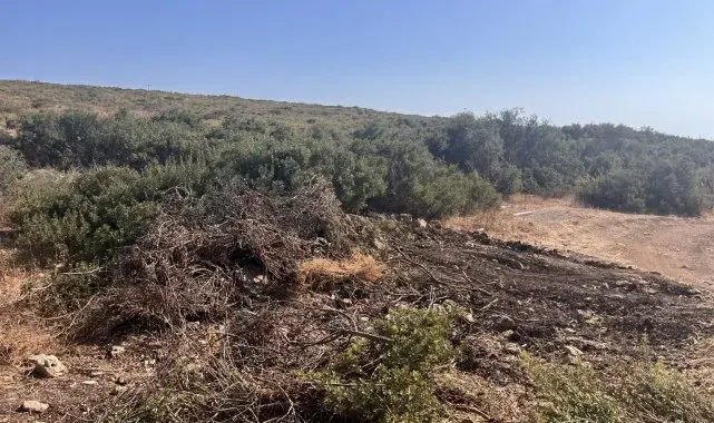 Didim'de hazine arazisinde izinsiz yer açan şahıs jandarmaya takıldı