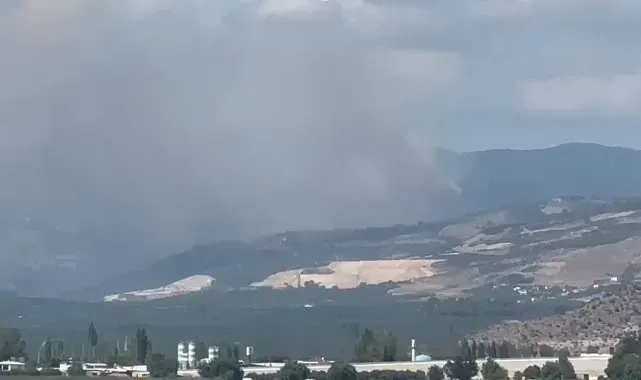 İznik'te korkutan orman yangını
