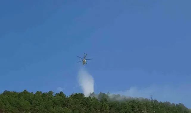 Isparta'daki orman yangını havadan ve karadan müdahaleyle söndürüldü