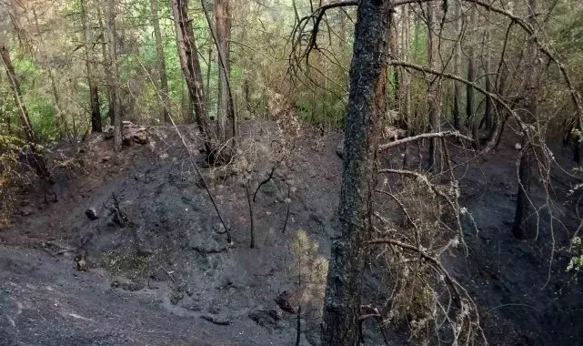 Karabük Ovacık'taki orman yangını kontrol altına alındı