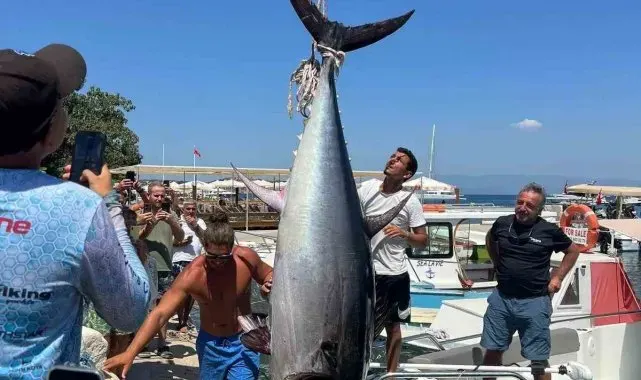 Bodrum'da 370 kiloluk orkinos yakalandı