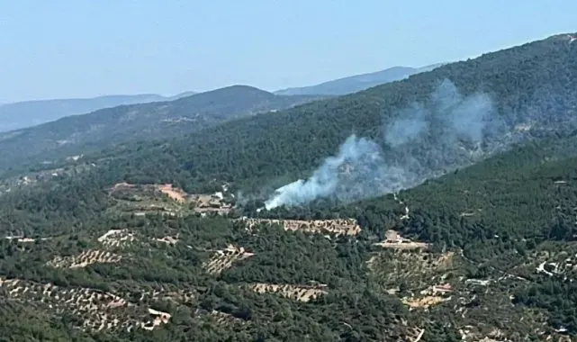 Kemalpaşa yangını kontrol altında