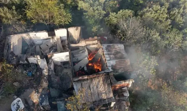 Bursa'da zeytinlik alandaki yangın söndürüldü