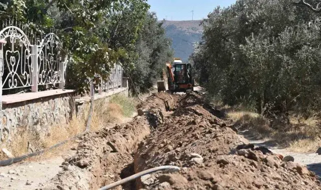 Balıkesir'de, 80 bin zeytin ağacı suyla buluştu