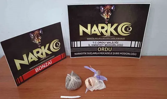 Ordu'da uyuşturucu madde ile yakalanan şüpheli tutuklandı