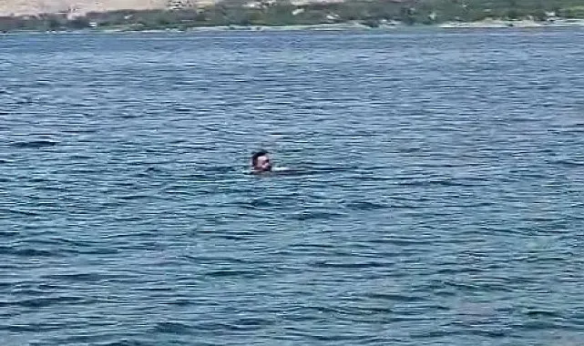 Elazığ'dan Malatya'ya yüzerek geçti