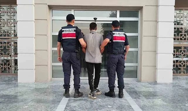 Germencik'te incir hırsızlığına suçüstü