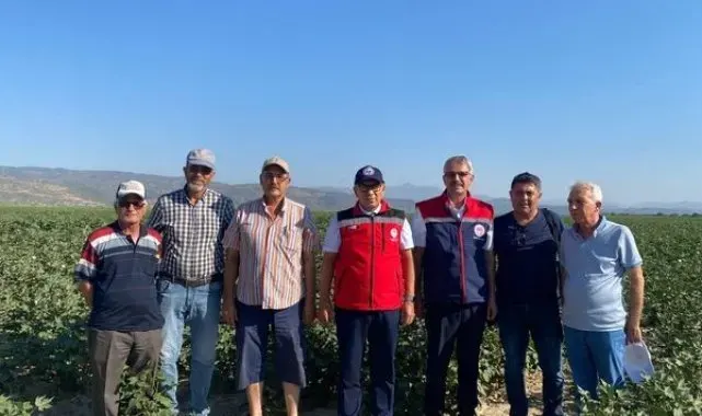 Söke, Aydın'ın pamuk başkenti olmaya devam ediyor