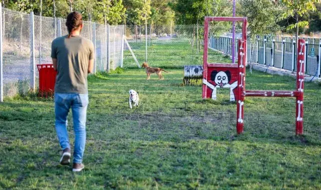Talas'ta hayvanlara özel patiyol