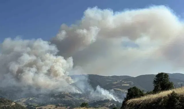 Uşak'ta otluk alanda çıkıp ormanlık alana sıçrayan yangına müdahale devam ediyor