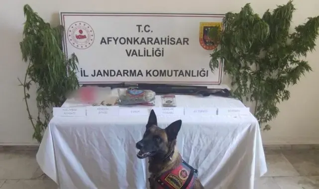 Evinin bahçesine kenevir eken şahsı jandarmadan operasyon