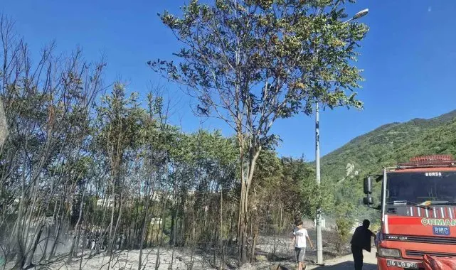 Uludağ eteklerindeki ormanlık alanda korkutan yangın