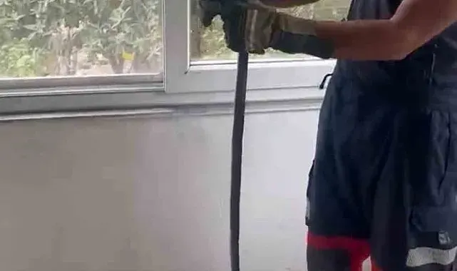 Eve giren yılan pencere arasına sıkıştı