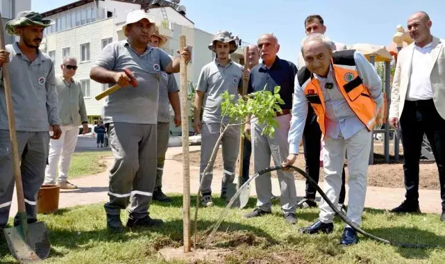 Yenilenen parka ilk ağaç fidanı Kocagöz'den
