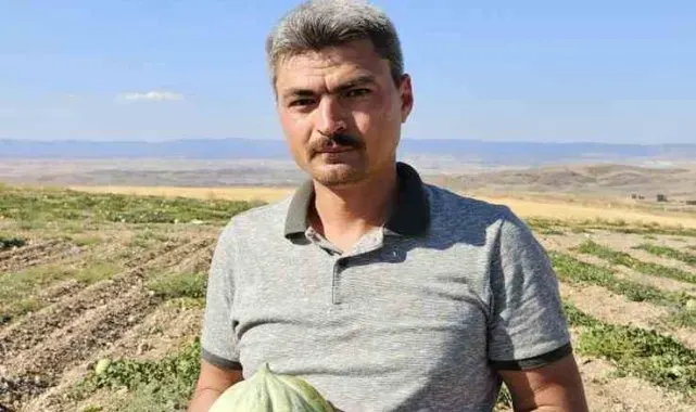 Beylikova'nın ünlü Halilbağı Mühürlü Kavunu üreticinin yüzünü güldürdü