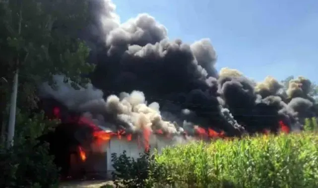 Sakarya'da korkutan yangın: Ahşap atölyesi alev topuna döndü