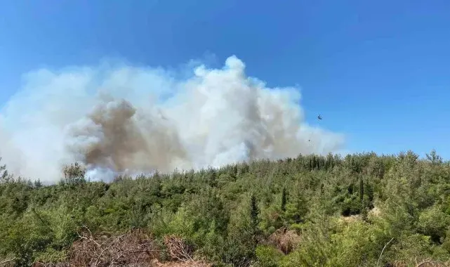 Çanakkale'deki orman yangınına havadan ve karadan müdahale sürüyor