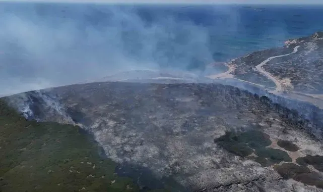 Bozcaada'daki orman yangını dron ile görüntülendi