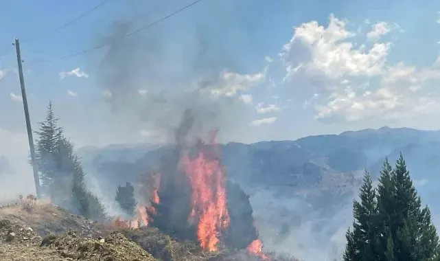 Alanya'da makilik alanda çıkan yangın ormana sıçramadan söndürüldü