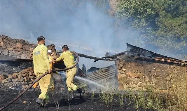 Taşova'da ağıl, samanlık ve 2 bağevi yandı