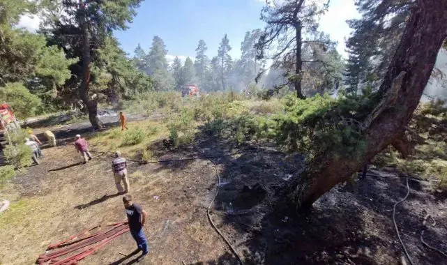 Kastamonu'da ormanlık alanda çıkan yangın büyümeden söndürüldü