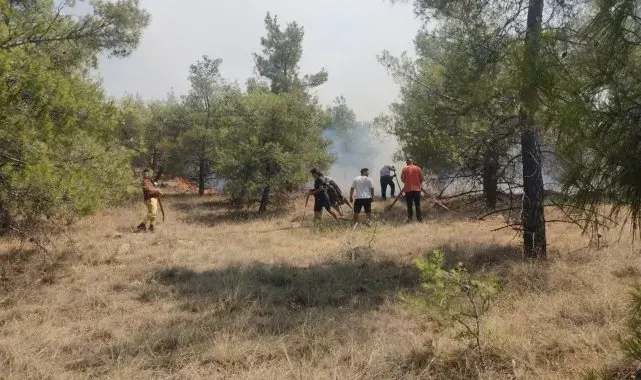 Denizli'de orman yangınına havadan ve karadan müdahale ediliyor