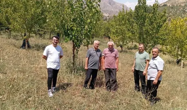 74 yaşındaki Kemaliyeli öğretmen 19 bin ağacı toprakla buluşturdu