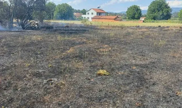 Pazaryeri'nde çıkan arazi yangını korkuttu