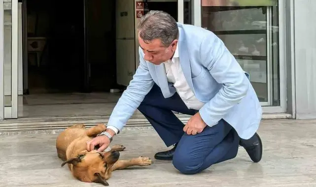 Efeler'de sahiplendirme kampanyası başladı, ilk desteği Başkan Yetişkin verecek