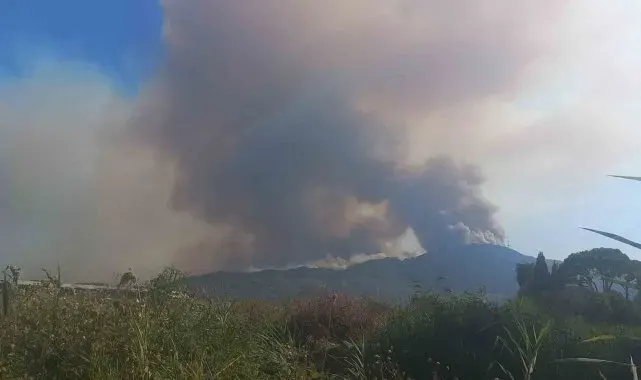 Aydın'daki orman yangınını kontrol altına alma çalışmaları devam ediyor