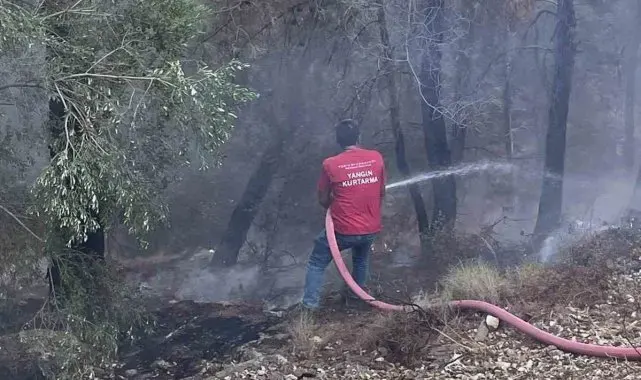 Milas yangınına bölgedeki Termik Santral ekipleri de müdahale ediyor