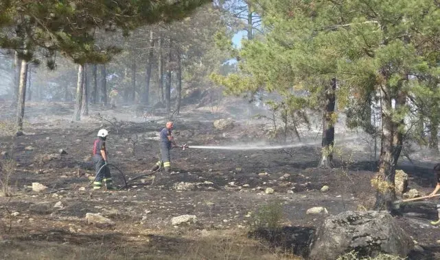 Kastamonu'da çıkan orman yangını söndürüldü