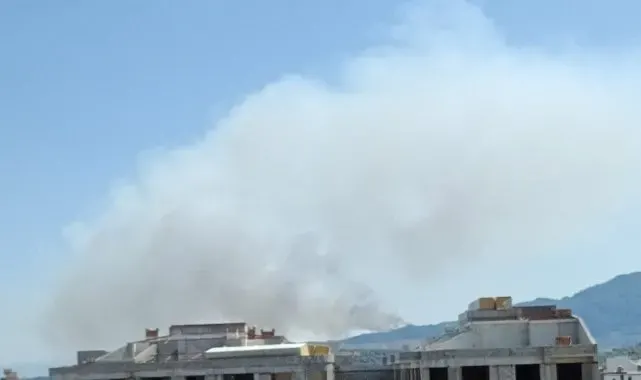 Aydın'da orman yangını