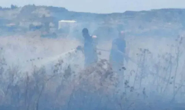 Samandağ'da çıkan çalılık yangını söndürüldü