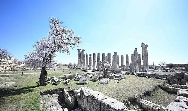 Mersin'de 2 bin 300 yıllık antik kent Arkeoköy ile canlanıyor