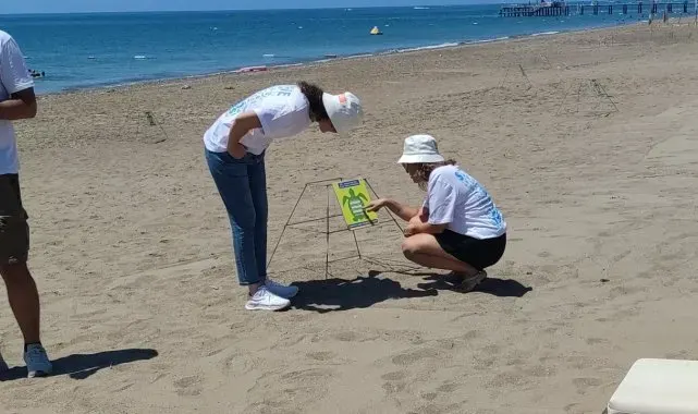 Turizm merkezi Kundu'da caretta caretta seferberliği