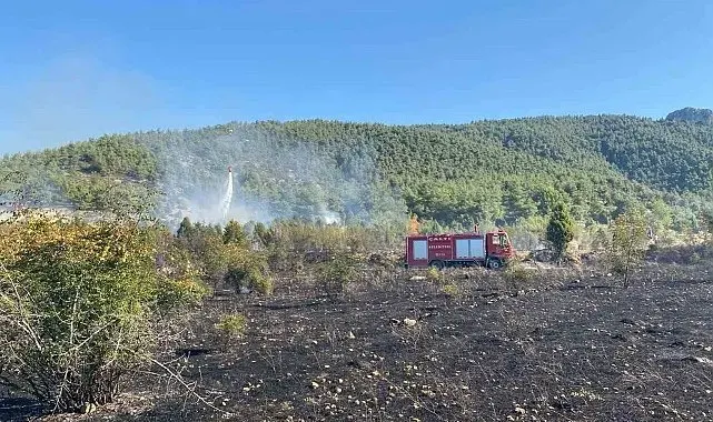Bilecik'te çıkan tarla yangını ormana sıçramadan söndürüldü