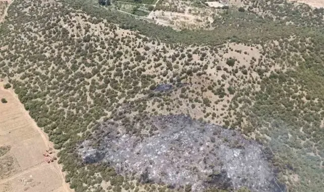 Milas'ta zirai alanda çıkan yangın kontrol altına alındı