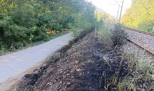 Bilecik'te YHT hattı kenarında yangın çıktı