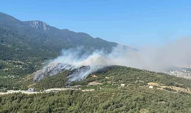 Bursa'da aynı anda 3 noktada yangın...Uludağ'ın etekleri yanıyor