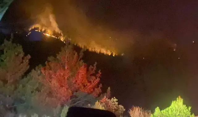 Kahramanmaraş'taki orman yangını 18 saat sonra kontrol altına alındı