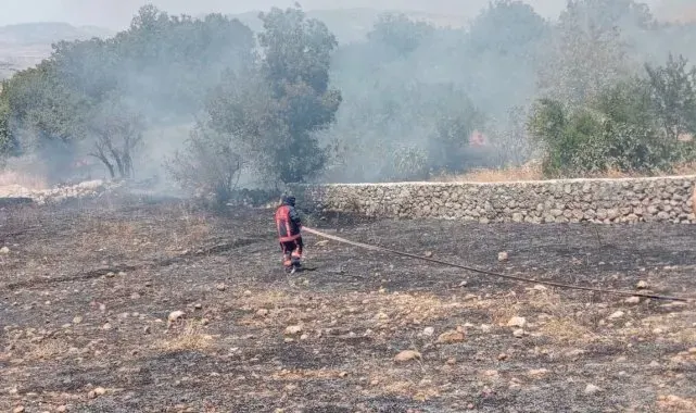 Şırnak'ta örtü yangını