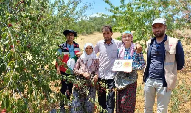Coğrafi işaret onaylı Şaphane vişnesinin tescil ve kontrol çalışmaları