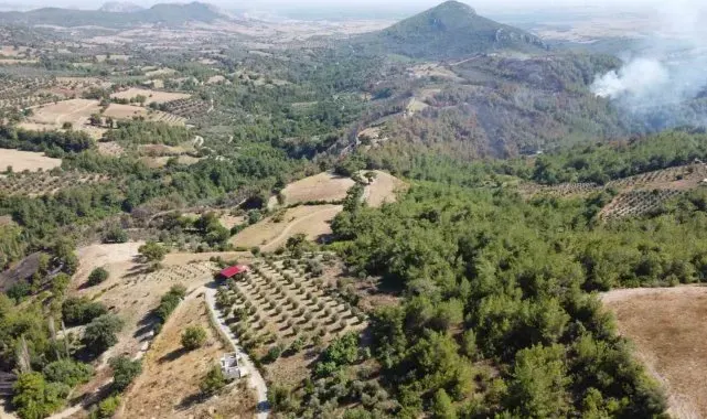Kozan'daki orman yangını kontrol altına alındı