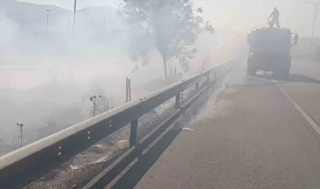 Arsuz'da çıkan ot yangınını itfaiye ekipleri söndürdü