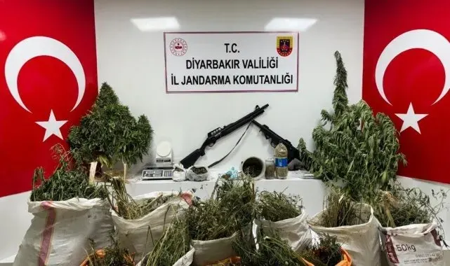 Diyarbakır'da 177 bin 495 kök kenevir ve skunk bitkisi ele geçirildi