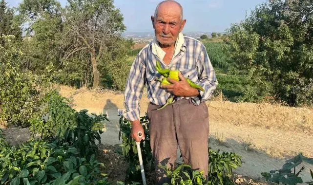 88 yaşında üretmeye devam ediyor