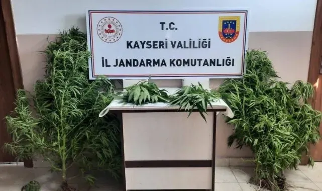 Jandarma Kayseri'de uyuşturucuya geçit vermiyor
